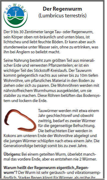 Regenwurm PDF
